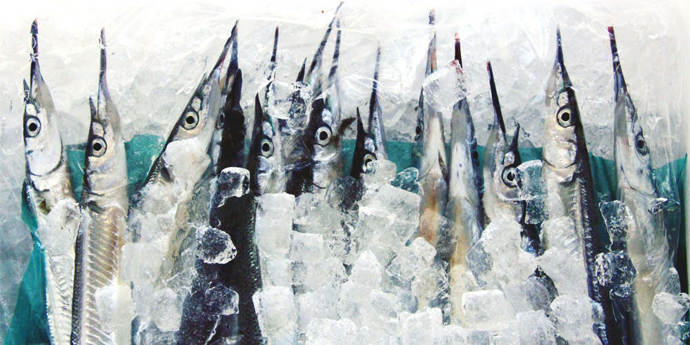 氷の上に並べられたたくさんの魚のイメージ画像