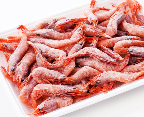 冷凍されたたくさんの海老のイメージ画像