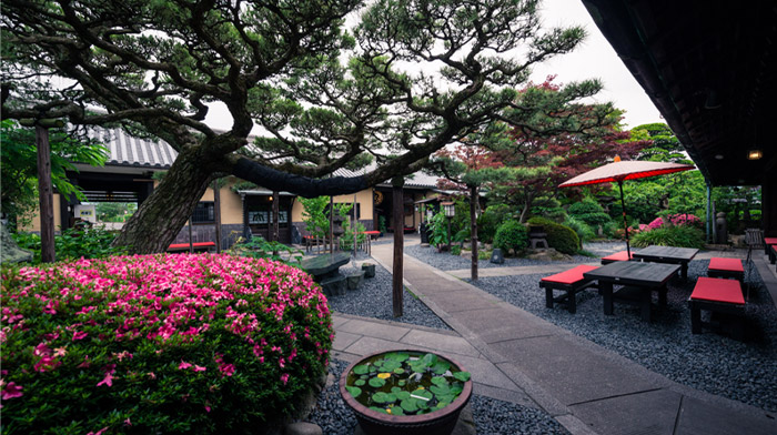 「うどん本陣 山田家」の中庭の画像