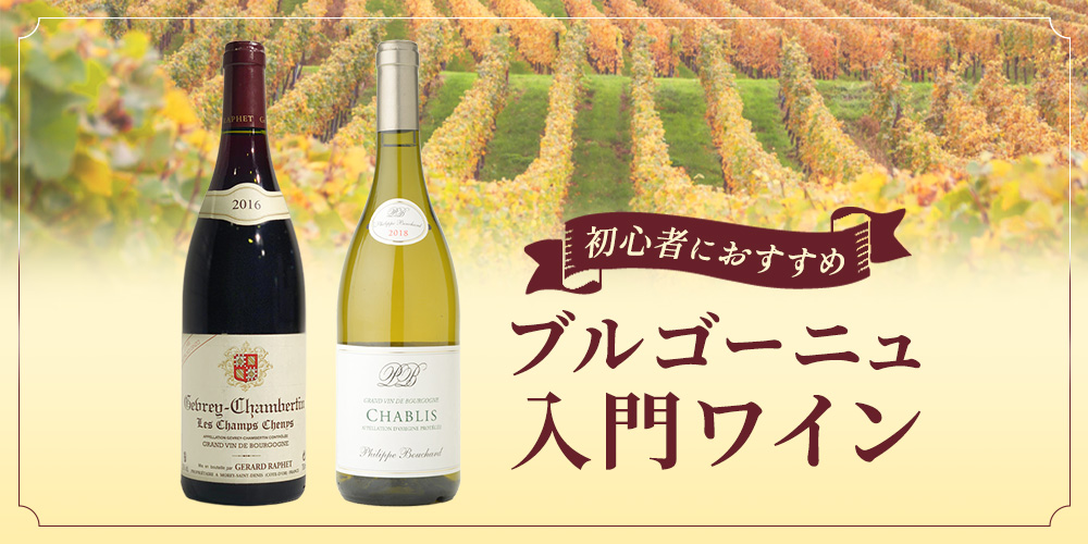 初心者におすすめ ブルゴーニュ入門ワイン - MATSUYA 松屋オンラインストア