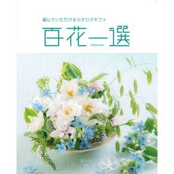 ＜リンベル＞百花一選 通草 あけび