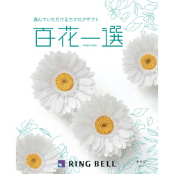 ＜リンベル＞百花一選 通草 あけび