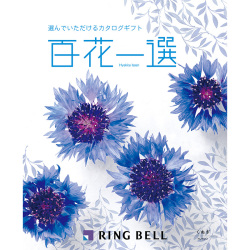 ＜リンベル＞百花一選 椚 くぬぎ