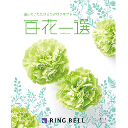 ＜リンベル＞百花一選 柘榴 ざくろ