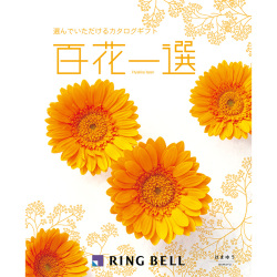 ＜リンベル＞百花一選 浜木綿 はまゆう