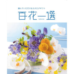 ＜リンベル＞百花一選 春楡 はるにれ