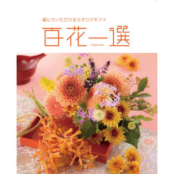＜リンベル＞百花一選 翌檜 あすなろ