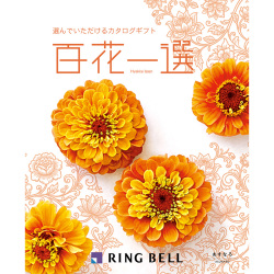 ＜リンベル＞百花一選 翌檜 あすなろ