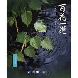 ＜リンベル＞百花一選 白樺 しらかば