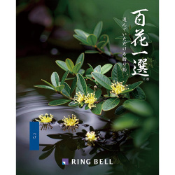 ＜リンベル＞百花一選 柘植 つげ