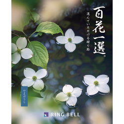 ＜リンベル＞百花一選 山法師 やまぼうし