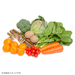 ＜りょくけん＞季節の野菜セット Kサイズ（野菜8種＋くだもの1種）
