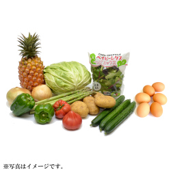 ＜りょくけん＞季節の野菜セット 卵付き（野菜8種＋くだもの1種＋卵）