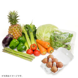 ＜りょくけん＞季節の野菜セット 卵付き（野菜8種＋くだもの1種＋卵）