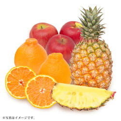 ＜りょくけん＞季節のくだものお詰め合わせM