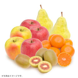 ＜りょくけん＞季節のくだものお詰め合わせL