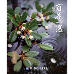 ＜リンベル＞百花一選 もっこく（仏事用）