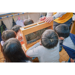 【5月19日（日）】ミツバチの学校「ビースクール」