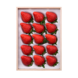 ＜日本橋 千疋屋総本店＞国産苺 桐箱入り