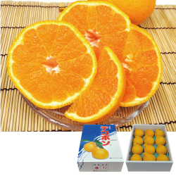 ＜佐賀産＞デコポン