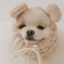 ＜ハホニコ＞うちのこのためのスヌード【くまベージュ】