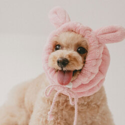 ＜ハホニコ＞うちのこのためのスヌード【うさぎピンク】