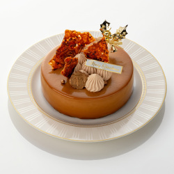 【12月25日（木）受取】＜fammy（ファミー） by Miho Sato＞chocolate hasikapu（チョコレート ハシカプ）_226