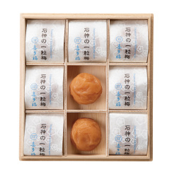 ＜紀州＞うす塩 石神の一粒梅