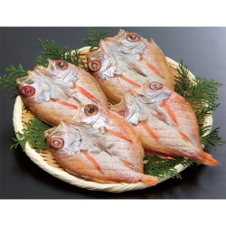 ＜島根・和田珍味＞のどぐろ一夜干