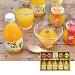 ＜和歌山・伊藤農園＞100％ピュアジュース＆ジュレセット