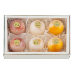 ＜ヨーグルト フォーシーズンズ＞ヨーグルトプリン6入夏