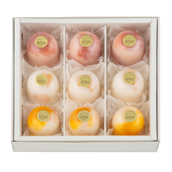 ＜ヨーグルト フォーシーズンズ＞ヨーグルトプリン9入夏