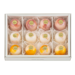 ＜ヨーグルト フォーシーズンズ＞ヨーグルトプリン12入夏