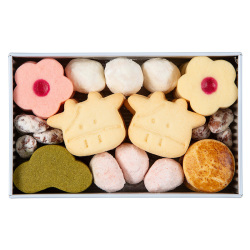 ＜ヨーグルト フォーシーズンズ＞ヨーグルト迎春 クッキー缶 小