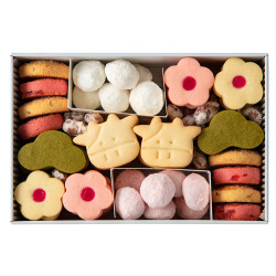 ＜ヨーグルト フォーシーズンズ＞ヨーグルト迎春 クッキー缶 大