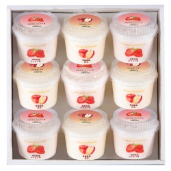 ＜ヨーグルト フォーシーズンズ＞プレミアムヨーグルトアソート9個入