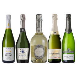 シャンパーニュ入りスパークリングワイン5本セット