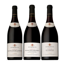絶好の飲み頃！ブルゴーニュの名門ブシャール・ペール・エ・フィス赤ワイン3本セット