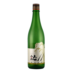 人気一 11 純米原酒