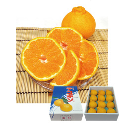 ＜佐賀産＞デコポン
