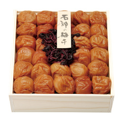 ＜紀州＞石神の里うす塩梅干