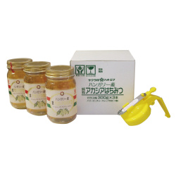 ＜加藤美蜂園本舗＞ハンガリーアカシア蜂蜜3本セット