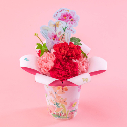 ＜日比谷花壇＞NozomiYuasa×シュシュフルール「ペタル・ルージュ」【母の日ギフト】