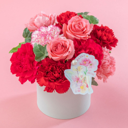 ＜日比谷花壇＞NozomiYuasa×アレンジメント「シェールママン・ロゼ」【母の日ギフト】