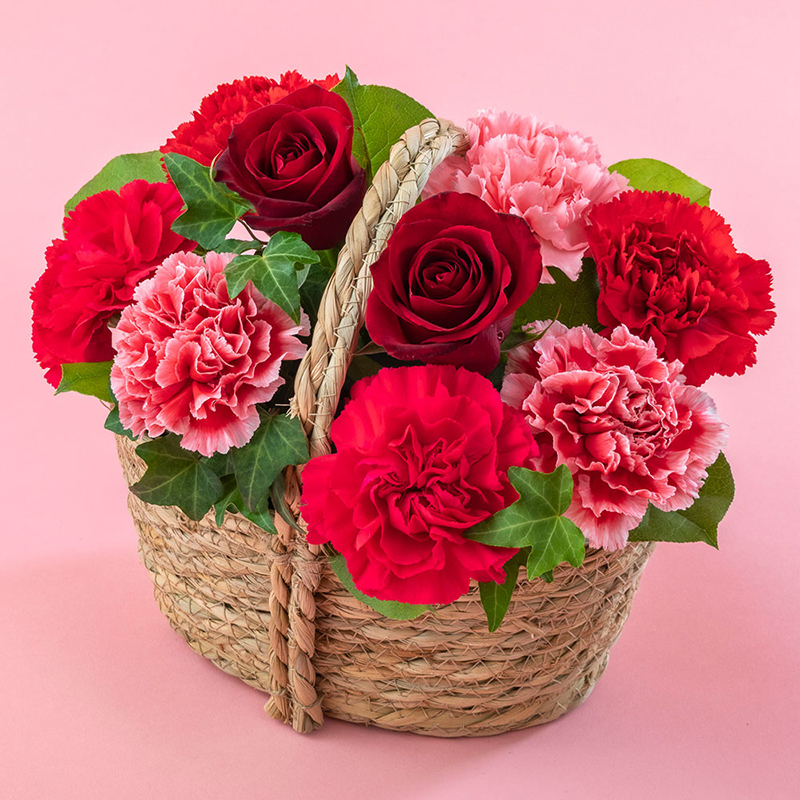 ＜日比谷花壇＞アレンジメント「ベル・フィオーレ」