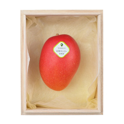 ＜日本橋 千疋屋総本店＞宮崎県産 完熟マンゴー桐箱入【母の日ギフト／店頭受取】