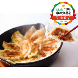 ＜鹿児島 ビッグファイブ＞鹿児島黒豚生餃子