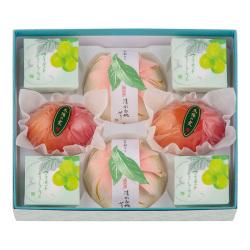 ＜宗家 源 吉兆庵＞源 吉兆庵の夏菓撰