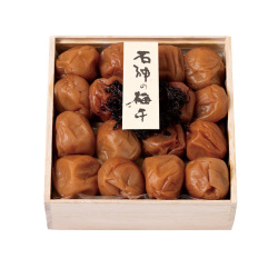 ＜紀州＞石神の里うす塩梅干