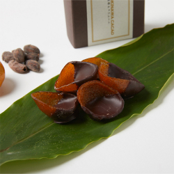 ＜OKINAWA CACAO＞黄金（完熟シークヮーサーピール）のチョコレート